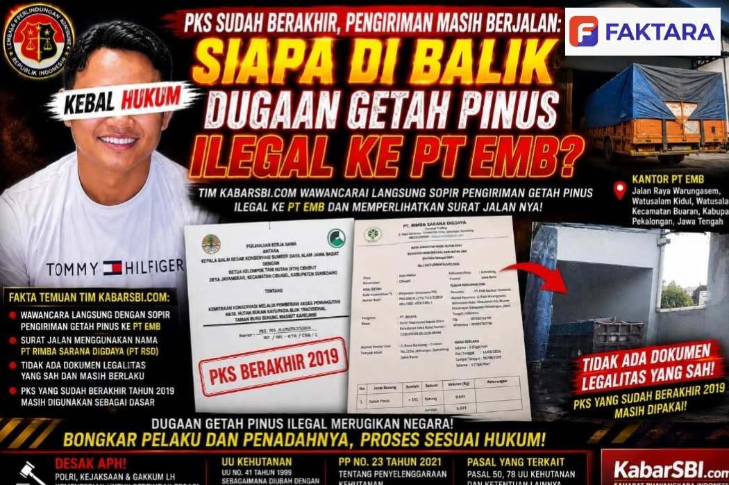 PKS Sudah Berakhir Pengiriman Masih Berjalan, Siapa Dibalik Dugaan Getah Pinus Ilegal ke PT EMB